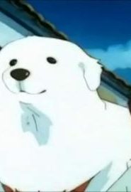 كرتون بيل و سيبستيان مدبلج