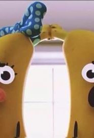 عالم غامبول المدهش كتاب داروين السنوي