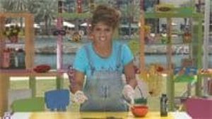 برنامج فن مينيا مدبلج