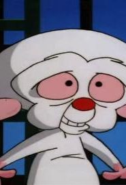 كرتون بينكي وبرين مدبلج