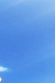 هنتر x هنتر 2011 مدبلج